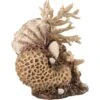 BiOrb Coral Shells Aquarium Ornament, Neutral -Fish Products 252223 MAIN. AC SS1800 V1605554221