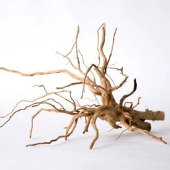 Galapagos Spiderwood Aquarium & Terrarium Accessory, Natural 14 Galapagos Spiderwood Aquarium & Terrarium Accessory, Natural -Fish Products 257668 PT3. AC SS1800 V1684413113