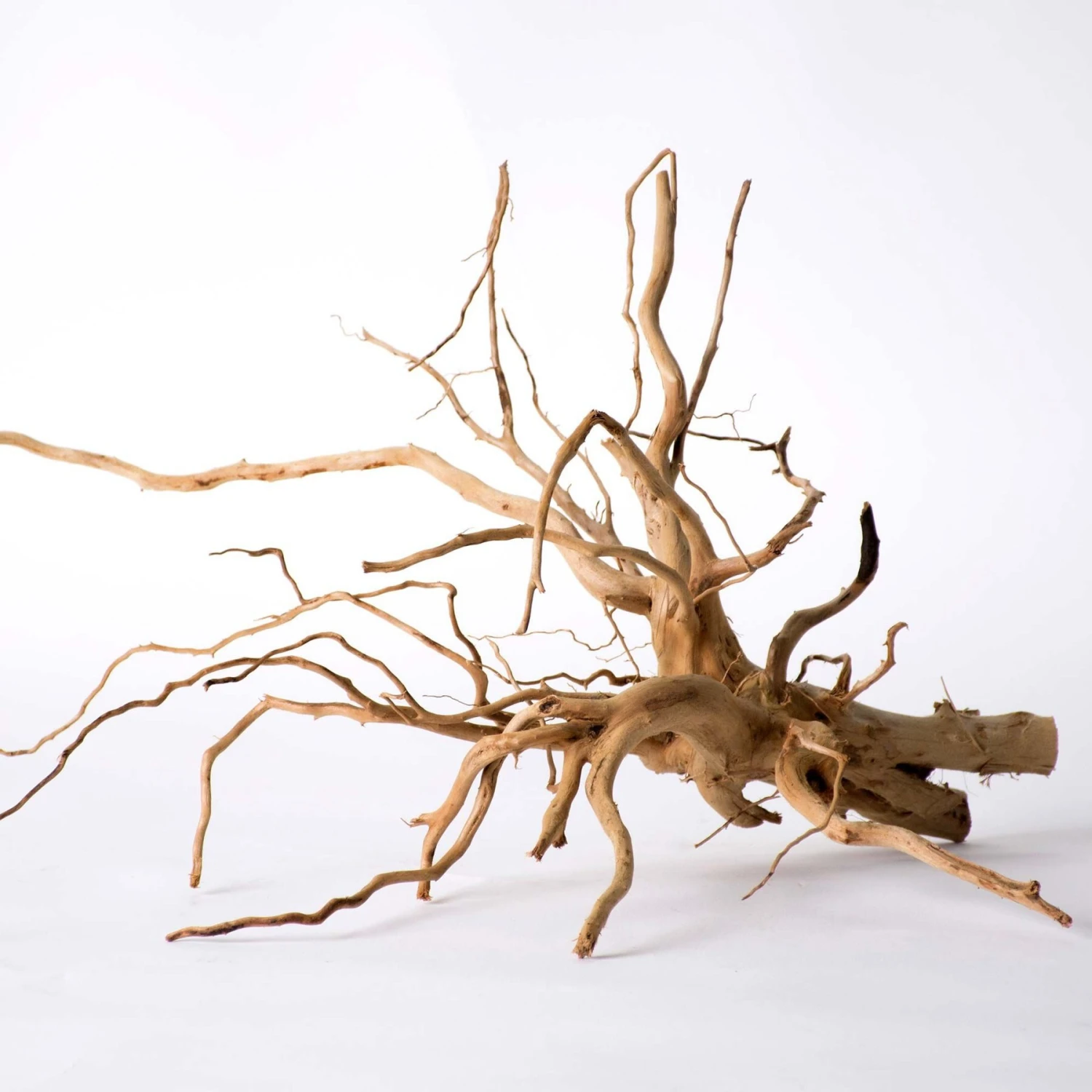 Galapagos Spiderwood Aquarium & Terrarium Accessory, Natural 6 Galapagos Spiderwood Aquarium & Terrarium Accessory, Natural - Image 4