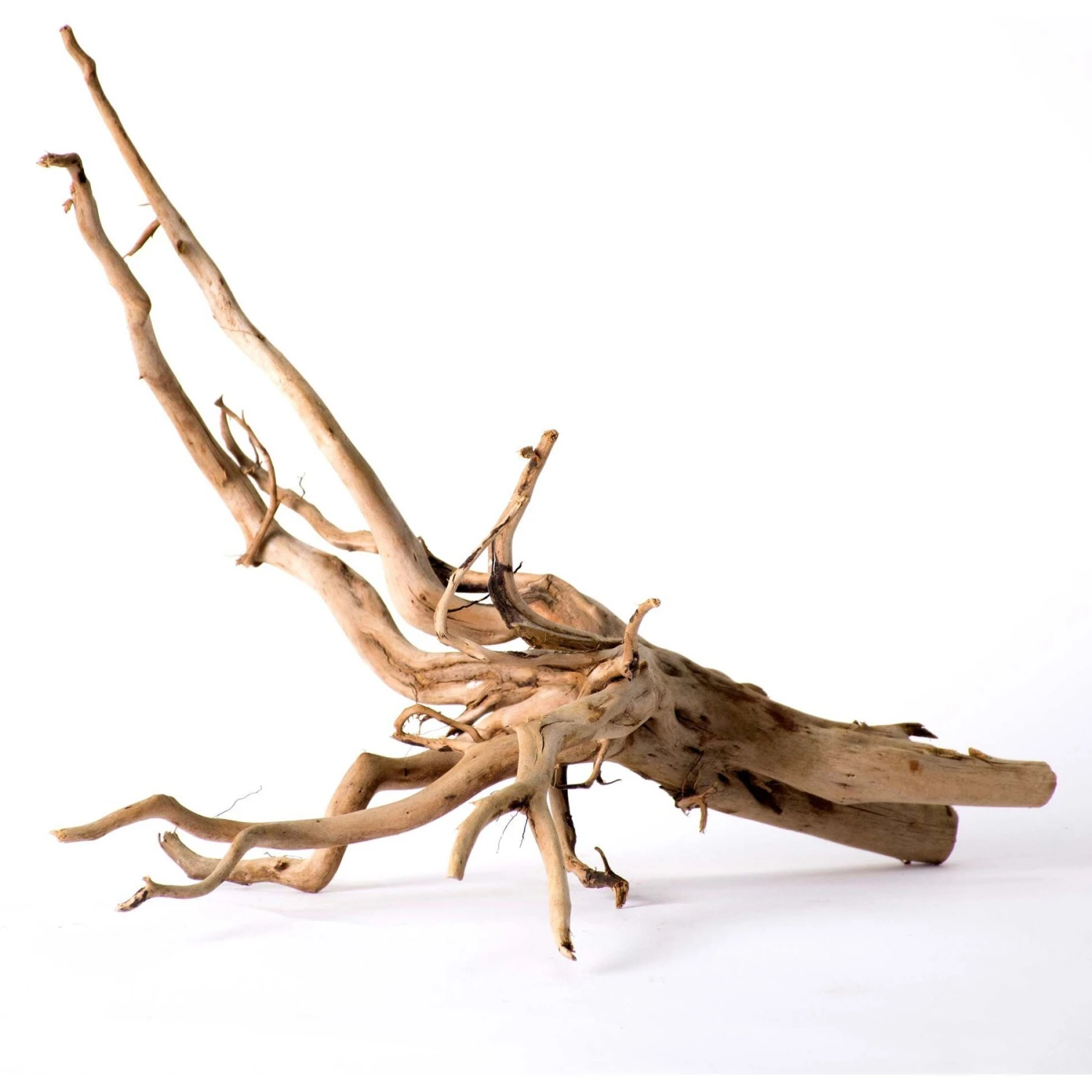 Galapagos Spiderwood Aquarium & Terrarium Accessory, Natural 7 Galapagos Spiderwood Aquarium & Terrarium Accessory, Natural - Image 5