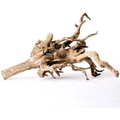 Galapagos Spiderwood Aquarium & Terrarium Accessory, Natural 16 Galapagos Spiderwood Aquarium & Terrarium Accessory, Natural -Fish Products 257668 PT5. AC SS1800 V1684410037