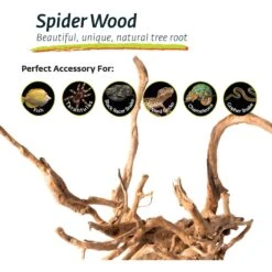 Galapagos Spiderwood Aquarium & Terrarium Accessory, Natural 17 Galapagos Spiderwood Aquarium & Terrarium Accessory, Natural -Fish Products 257668 PT6. AC SS1800 V1684405257