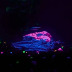 CC Pet Lava Rock Fish Aquarium Ornament, Small -Fish Products 269330 PT3. AC SS1800 V1627417094