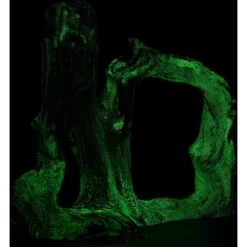 CC Pet Monrovia Fish Aquarium Ornament -Fish Products 269336 PT2. AC SS1800 V1625618809