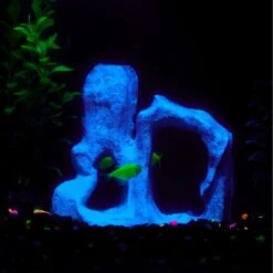 CC Pet Monrovia Fish Aquarium Ornament -Fish Products 269336 PT3. AC SS1800 V1627417185