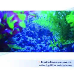 Aqueon PURE Bacteria Supplement 16 Aqueon PURE Bacteria Supplement -Fish Products 269416 PT5. AC SS1800 V1638486761