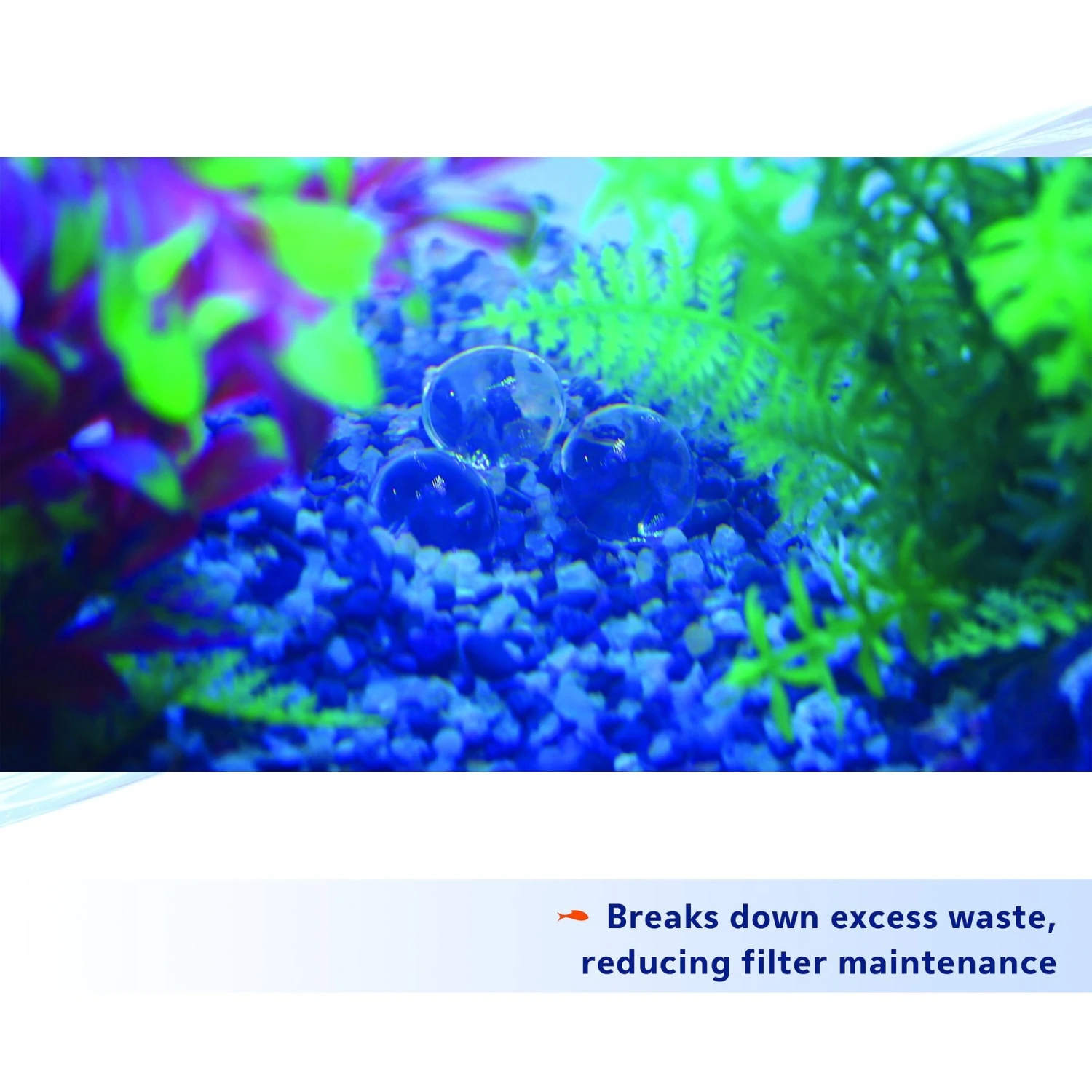 Aqueon PURE Bacteria Supplement 8 Aqueon PURE Bacteria Supplement - Image 6