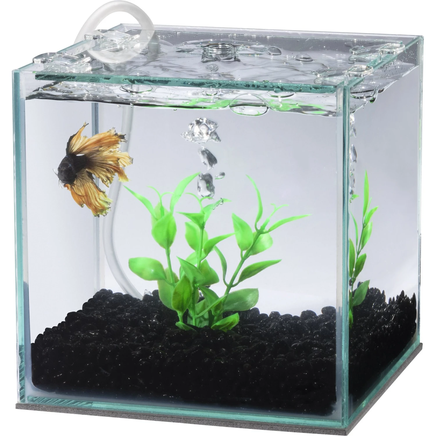 Aqueon Replacement Betta Filter Cartridge, 2 Count 5 Aqueon Replacement Betta Filter Cartridge, 2 Count - Image 3