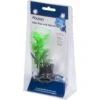 Aqueon Betta Natural Plant Betta Fish Aquarium Filter 2 Aqueon Betta Natural Plant Betta Fish Aquarium Filter -Fish Products 277710 MAIN. AC SS1800 V1638490370