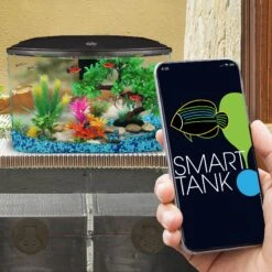 Koller Products Smart Tank Fish Aquarium, 7-gal -Fish Products 288024 PT5. AC SS1800 V1618526261