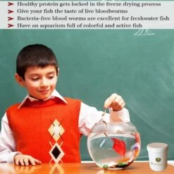 SunGrow Bloodworms Freeze-Dried Betta Fish Food, 0.52-oz Jar 10 SunGrow Bloodworms Freeze-Dried Betta Fish Food, 0.52-oz Jar -Fish Products 288094 PT4. AC SS1800 V1618352248