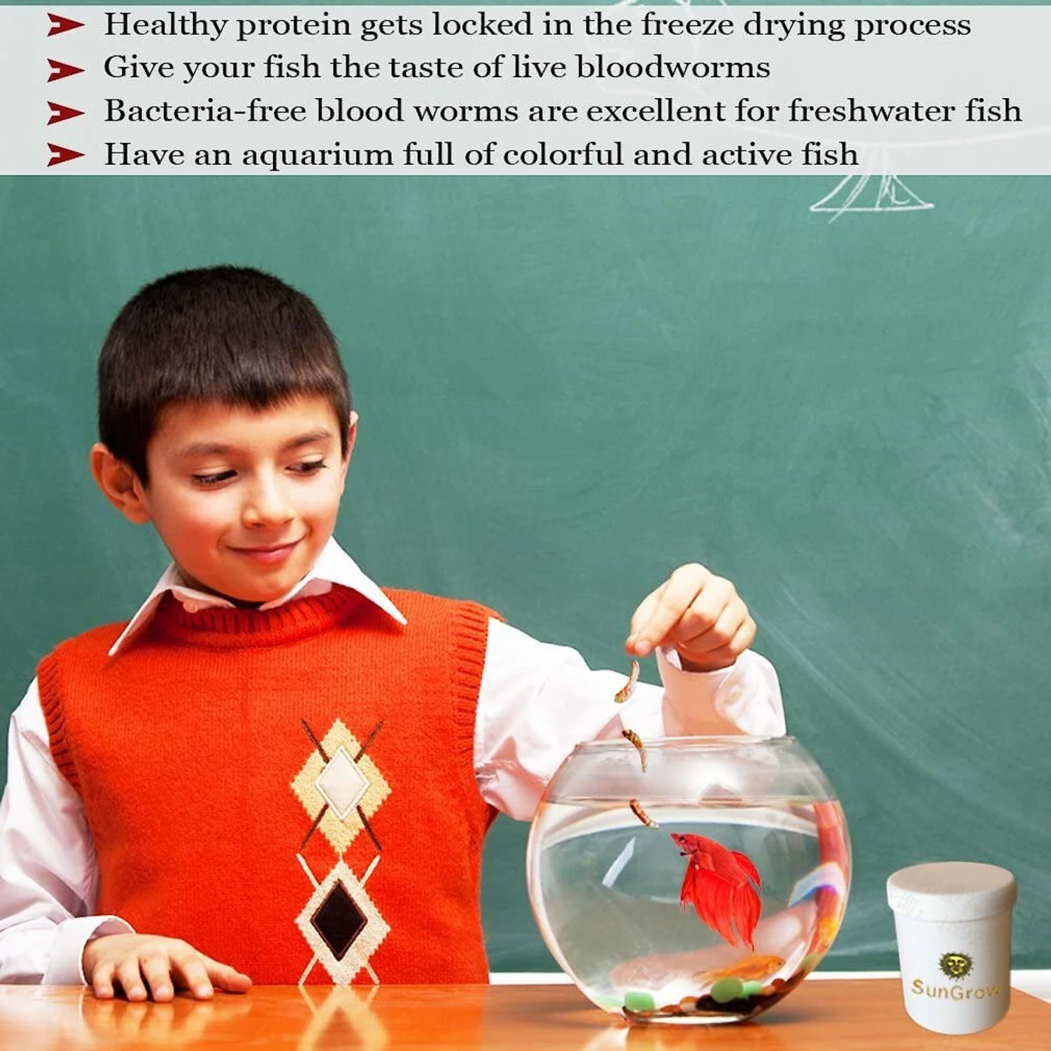 SunGrow Bloodworms Freeze-Dried Betta Fish Food, 0.52-oz Jar 6 SunGrow Bloodworms Freeze-Dried Betta Fish Food, 0.52-oz Jar - Image 4