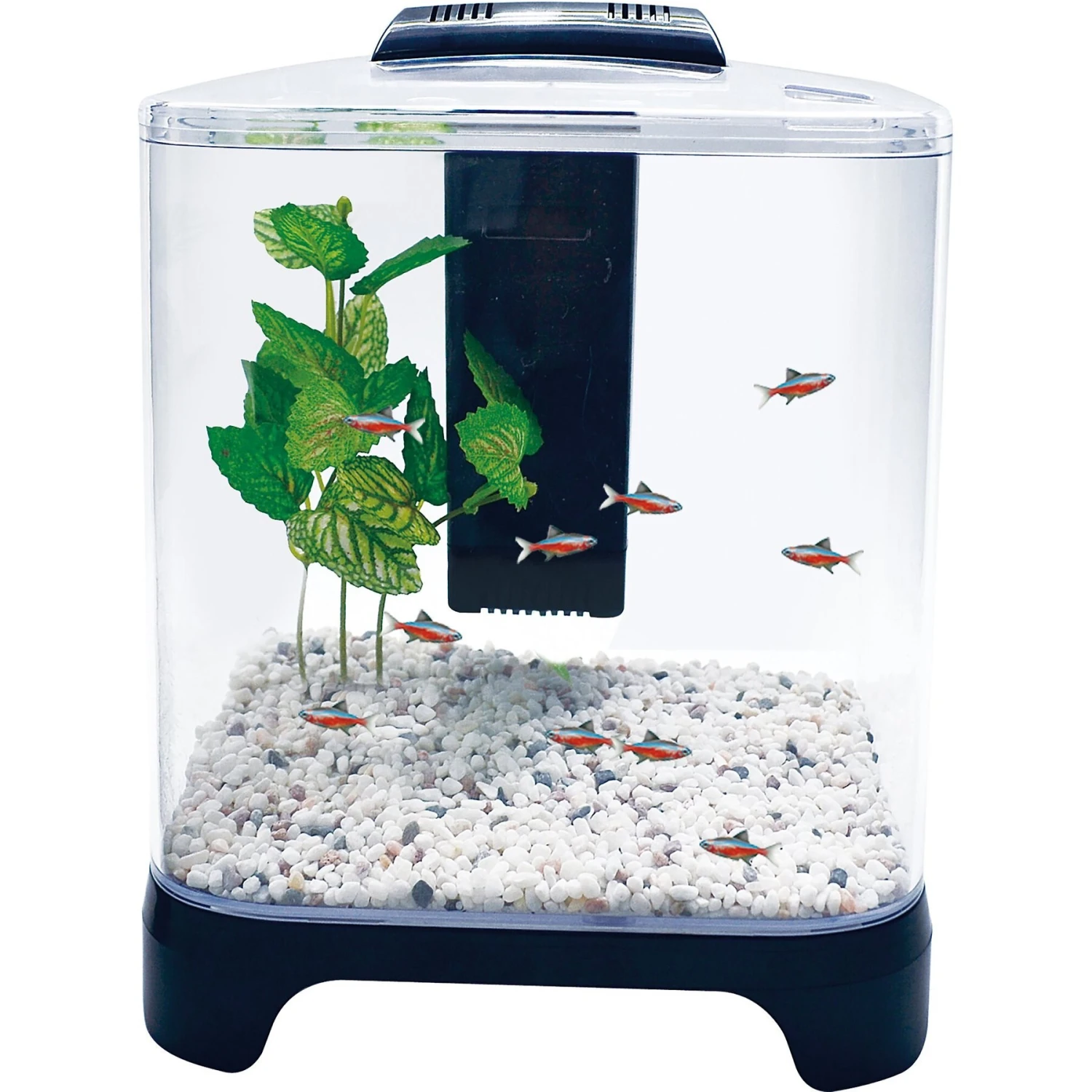 Penn-Plax Betta Aquarium Tank Kit, 1.5-gal 4 Penn-Plax Betta Aquarium Tank Kit, 1.5-gal - Image 2