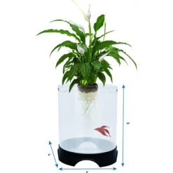 Penn-Plax Large Aquaponic Aquarium Tank, 1.4-gal 7 Penn-Plax Large Aquaponic Aquarium Tank, 1.4-gal -Fish Products 289678 PT2. AC SS1800 V1671226171