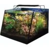 Lifegard Aquatics Full View Aquarium Kit With Submersible Filter -Fish Products 291888 MAIN. AC SS1800 V1621634382