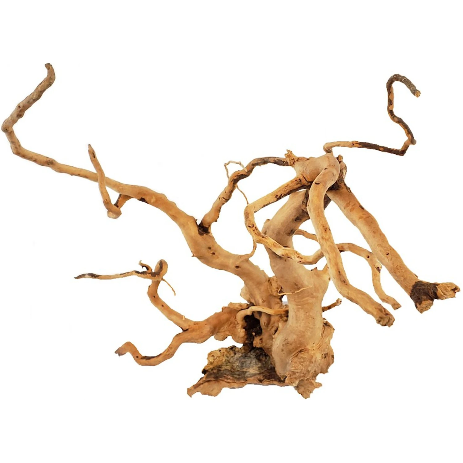 Lifegard Aquatics Spider Wood Cuckoo Root Aquarium Decoration 3 Lifegard Aquatics Spider Wood Cuckoo Root Aquarium Decoration