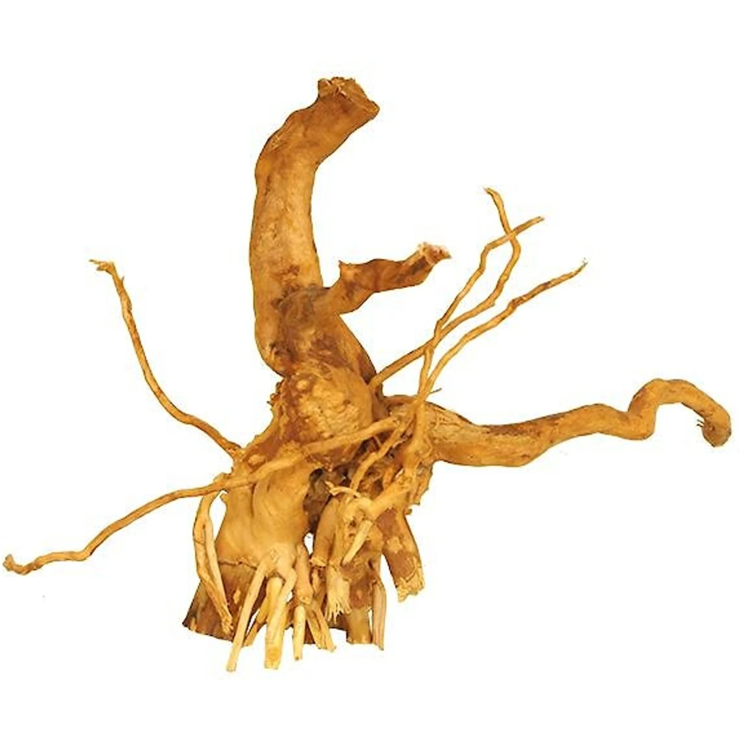 Lifegard Aquatics Spider Wood Cuckoo Root Aquarium Decoration 4 Lifegard Aquatics Spider Wood Cuckoo Root Aquarium Decoration - Image 2