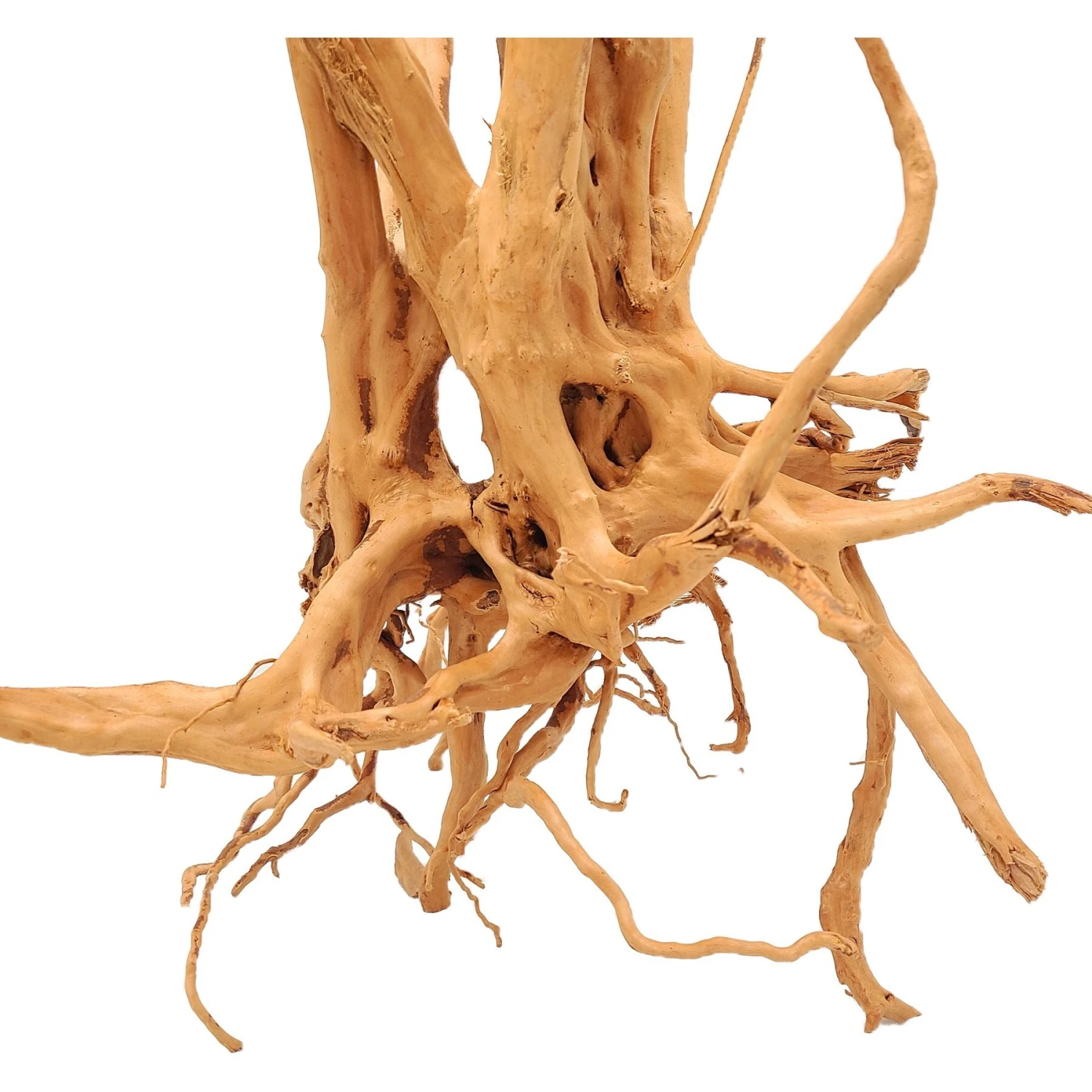 Lifegard Aquatics Wood Stump Aquarium Decoration 4 Lifegard Aquatics Wood Stump Aquarium Decoration - Image 2