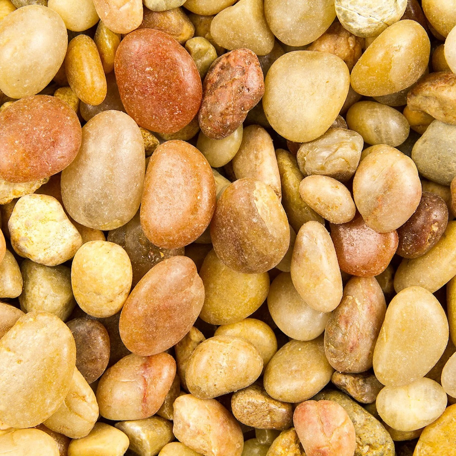 Spectrastone Shallow Creek Pebble Premium Aquarium Gravel, 5-lb Bag 4 Spectrastone Shallow Creek Pebble Premium Aquarium Gravel, 5-lb Bag - Image 2