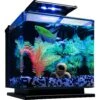 GloFish Betta Fish Aquarium Kit, 3-gal -Fish Products 301646 MAIN. AC SS1800 V1622150249