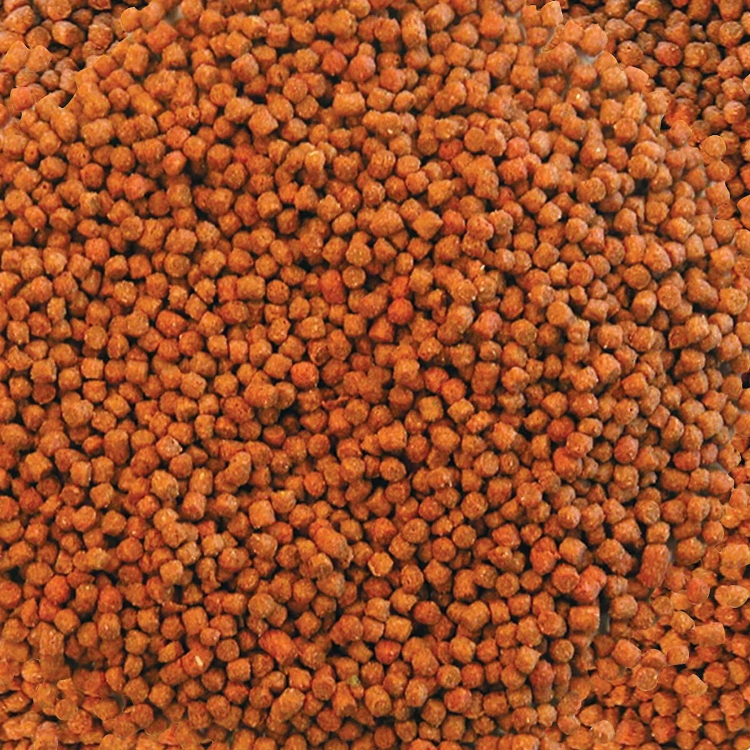 Aqueon Betta Bowl Plus Water Conditioner & Aqueon Betta Fish Food 8 Aqueon Betta Bowl Plus Water Conditioner & Aqueon Betta Fish Food - Image 6