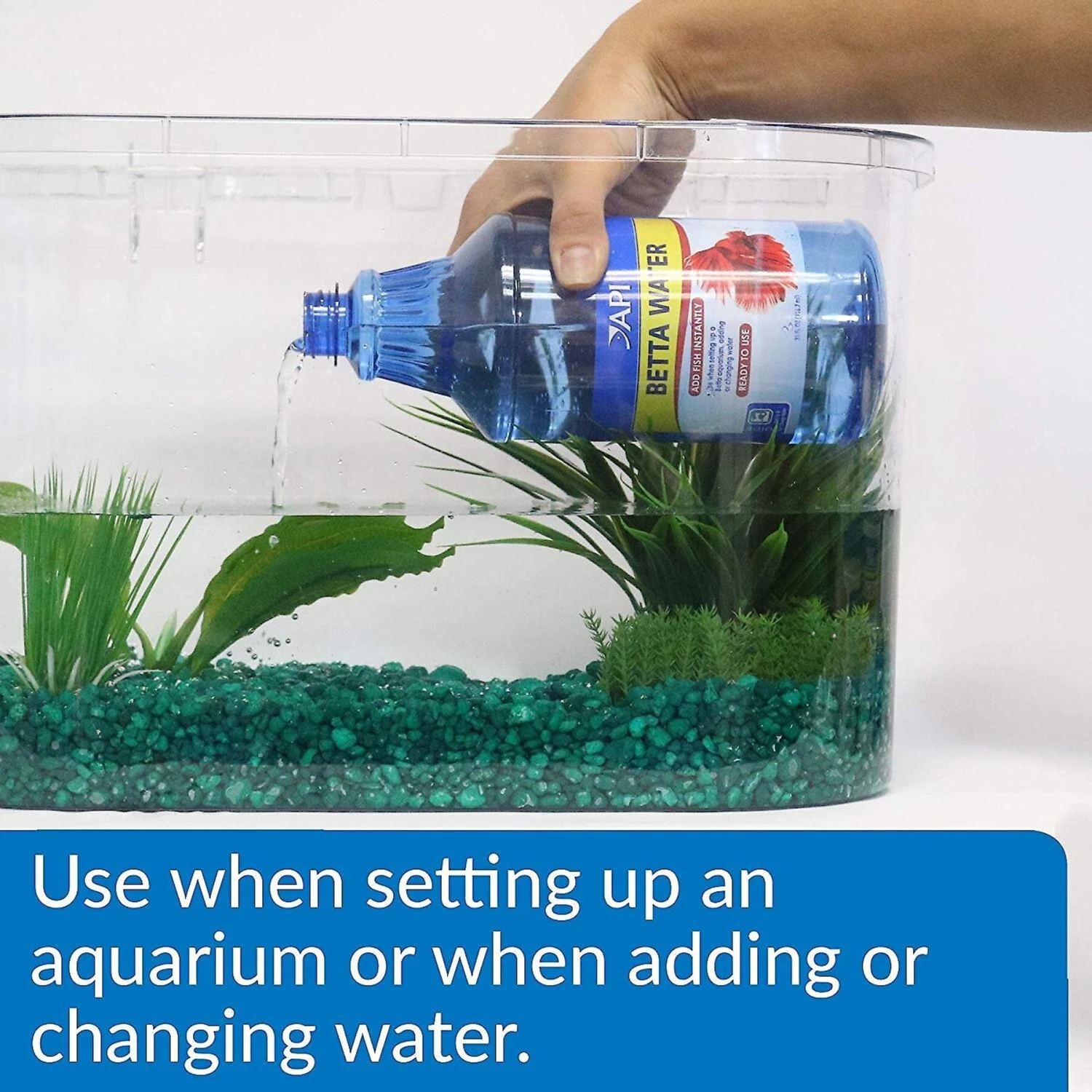 API Betta Aquarium Water Care, 31-oz Bottle 4 API Betta Aquarium Water Care, 31-oz Bottle - Image 2