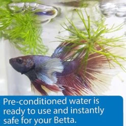 API Betta Aquarium Water Care, 31-oz Bottle 7 API Betta Aquarium Water Care, 31-oz Bottle -Fish Products 305256 PT2. AC SS1800 V1623008899