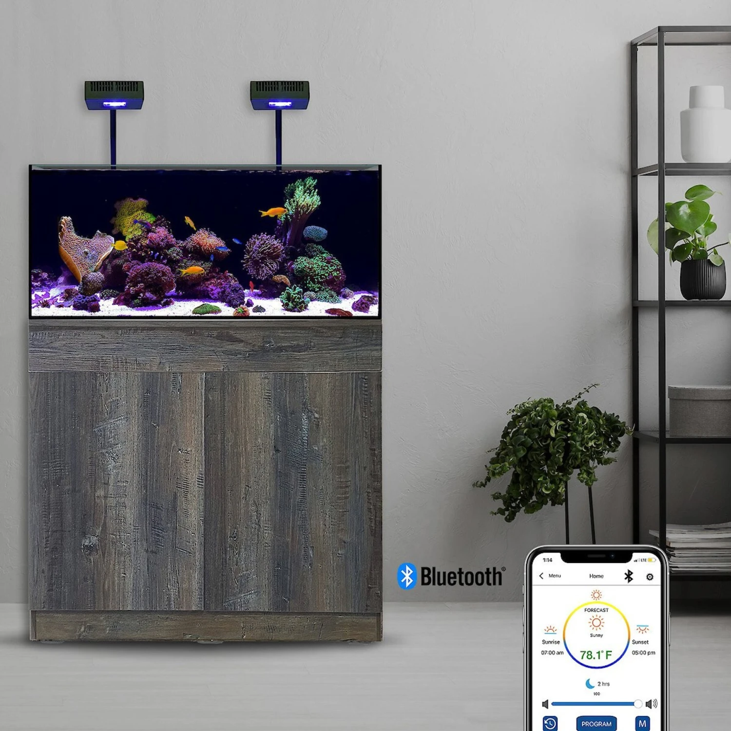 Current USA Orbit R24 Bluetooth Dual 2x Light System With Flex Arms 4 Current USA Orbit R24 Bluetooth Dual 2x Light System With Flex Arms - Image 2