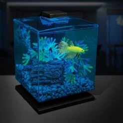 GloFish Fluorescent Aquarium Gravel -Fish Products 325470 PT3. AC SS1800 V1629927692