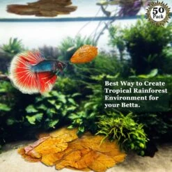 SunGrow Mini Freshwater Indian Almond Leaves Aquarium Water Conditioner For Betta Fish & Shrimp, 50 Count -Fish Products 326827 PT2. AC SS1800 V1630679540