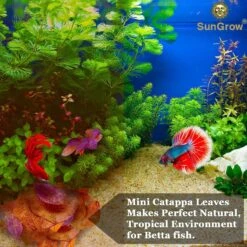 SunGrow Mini Freshwater Indian Almond Leaves Aquarium Water Conditioner For Betta Fish & Shrimp, 50 Count -Fish Products 326827 PT3. AC SS1800 V1630680670