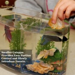 SunGrow Mini Freshwater Indian Almond Leaves Aquarium Water Conditioner For Betta Fish & Shrimp, 50 Count -Fish Products 326827 PT4. AC SS1800 V1630680724