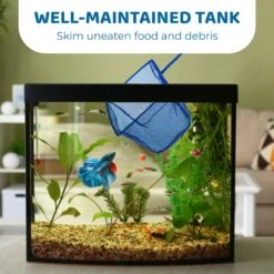 SunGrow Safe Aquarium Cleaning Fine Mesh Betta Fish Net -Fish Products 326833 PT2. AC SS1800 V1695055438