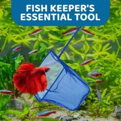 SunGrow Safe Aquarium Cleaning Fine Mesh Betta Fish Net -Fish Products 326833 PT5. AC SS1800 V1695055438