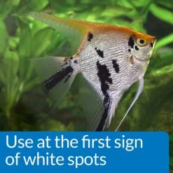 API LIQUID SUPER ICK CURE Freshwater & Saltwater Fish Medication 11 API LIQUID SUPER ICK CURE Freshwater & Saltwater Fish Medication -Fish Products 329401 PT2. AC SS1800 V1631685704