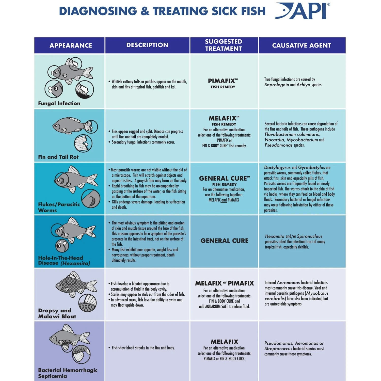 API LIQUID SUPER ICK CURE Freshwater & Saltwater Fish Medication 8 API LIQUID SUPER ICK CURE Freshwater & Saltwater Fish Medication - Image 6