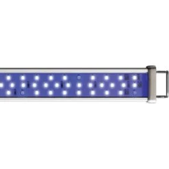ASF Proten LED Marine Fish Aquarium Striplight 8 ASF Proten LED Marine Fish Aquarium Striplight -Fish Products 330824 PT2. AC SS1800 V1699393740