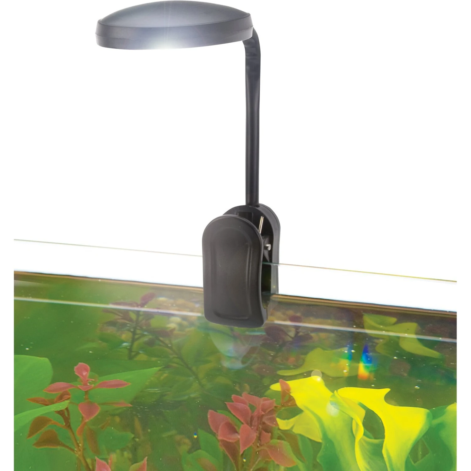 Penn-Plax Aqua Life LED Aquarium Light 3 Penn-Plax Aqua Life LED Aquarium Light