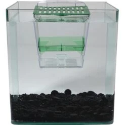 Penn-Plax Breed ‘n’ Show Plastic Tank -Fish Products 331077 PT3. AC SS1800 V1668105094