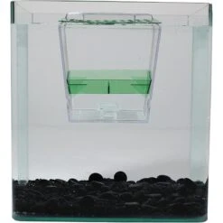 Penn-Plax Breed ‘n’ Show Plastic Tank -Fish Products 331077 PT4. AC SS1800 V1668099119