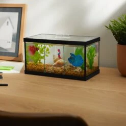 Frisco 3 Betta Aquarium With Divider/Top 9 Frisco 3 Betta Aquarium With Divider/Top -Fish Products 345879 PT3. AC SS1800 V1646177333