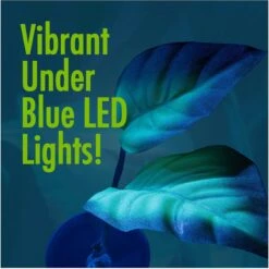 GloFish Betta Leaf Fish Artificial Plants -Fish Products 357901 PT7. AC SS1800 V1641339731