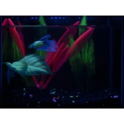 GloFish Betta Leaf Fish Artificial Plants -Fish Products 357901 PT8. AC SS1800 V1641336184