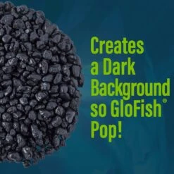GloFish Aquarium Fish Gravel, Black, 5-lb 13 GloFish Aquarium Fish Gravel, Black, 5-lb -Fish Products 357903 PT4. AC SS1800 V1641333981