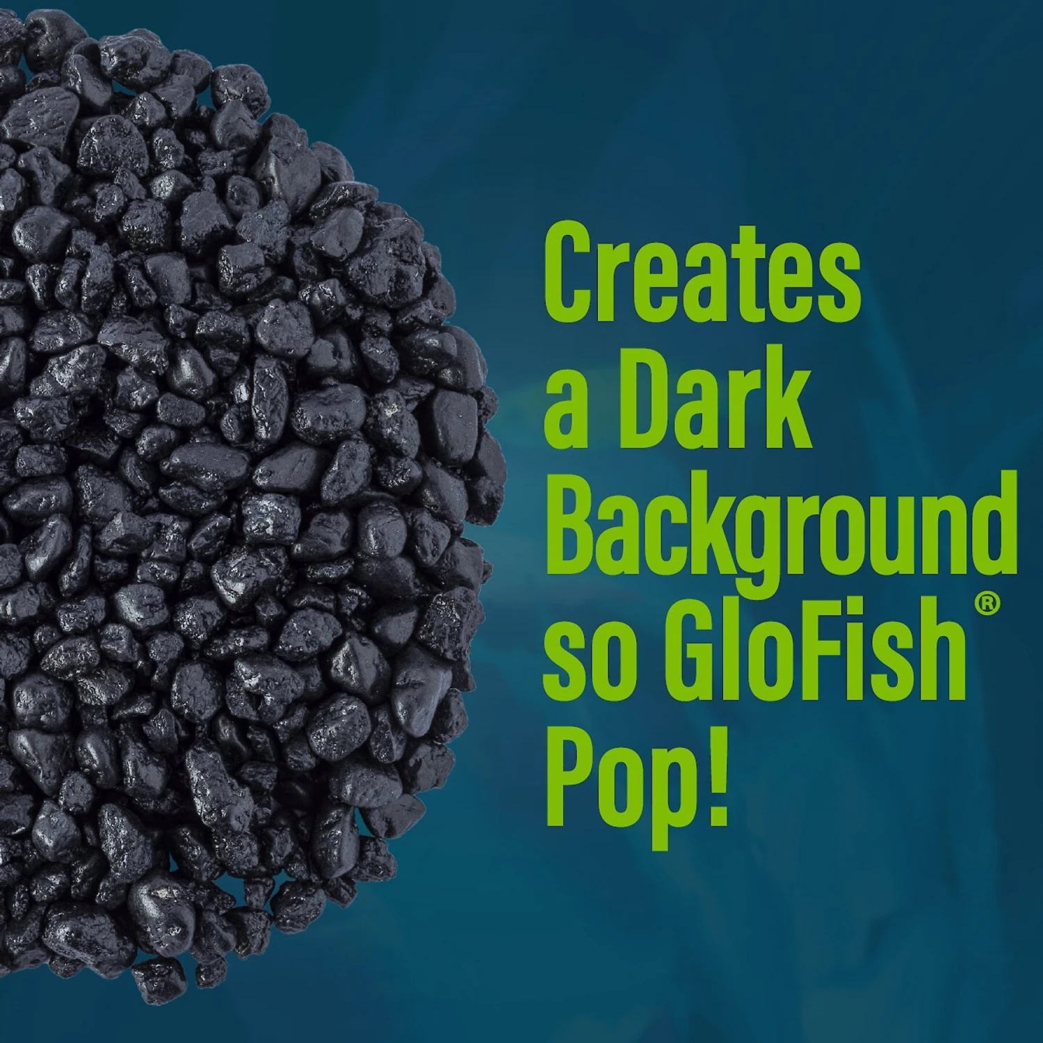 GloFish Aquarium Fish Gravel, Black, 5-lb 7 GloFish Aquarium Fish Gravel, Black, 5-lb - Image 5