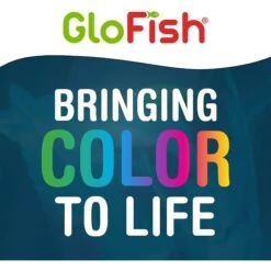 GloFish Aquarium Fish Gravel, Black & White, 5-lb 15 GloFish Aquarium Fish Gravel, Black & White, 5-lb -Fish Products 357905 PT6. AC SS1800 V1641343288