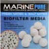 MARINEPURE Cermedia Aquarium Biofilter Media Spheres 1 MARINEPURE Cermedia Aquarium Biofilter Media Spheres -Fish Products 370352 MAIN. AC SS1800 V1645820183