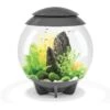 BiOrb HALO MCR Aquarium -Fish Products 520318 MAIN. AC SS1800 V1649886990