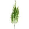 Frisco Long Plastic Aquarium Plant -Fish Products 537198 MAIN. AC SS1800 V1667227668