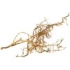 Underwater Treasures Bird Nest Wood Fish Ornament